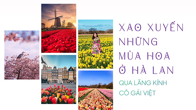 Theo chân cô gái Việt, khám phá những mùa hoa xao xuyến ở Hà Lan - 1