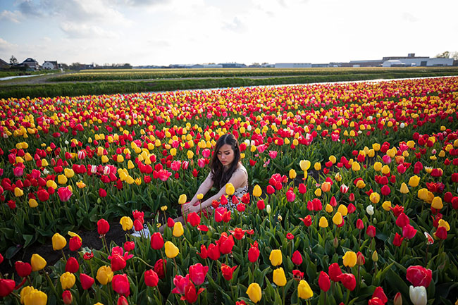 Theo chân cô gái Việt, khám phá những mùa hoa xao xuyến ở Hà Lan - 6