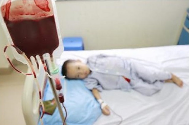 Em bé tan máu bẩm sinh đầu tiên ở Việt Nam được ghép tế bào gốc nửa hòa hợp - 1