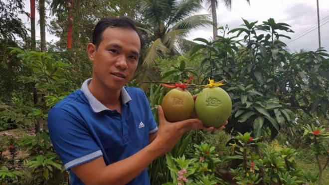 Nhà vườn ĐBSCL tạm dừng sản xuất, khan hiếm trái cây tạo hình dịp Tết - 1
