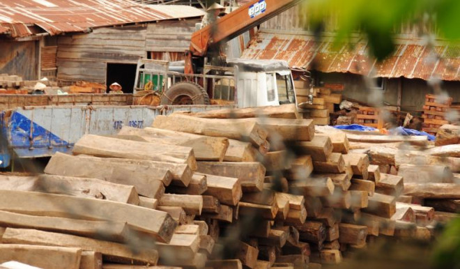 Cục thi hành án dân sự Đắk Lắk: Nhiều cán bộ bị kỷ luật, chưa xử lý lãnh đạo vì… đang bị bệnh - 2
