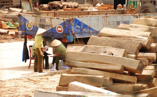 Cục thi hành án dân sự Đắk Lắk: Nhiều cán bộ bị kỷ luật, chưa xử lý lãnh đạo vì… đang bị bệnh - 1