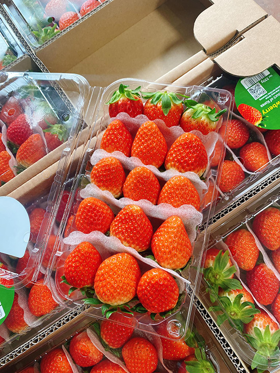Thảo Nguyên Fruit - Đơn vị chuyên kinh doanh, buôn bán các loại hoa quả, thực phẩm nhập khẩu chất lượng cao - 1