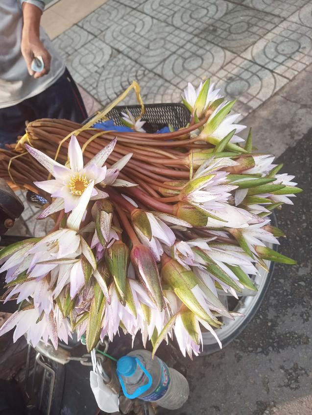 Anh hai Sài Gòn mua bó hoa đẹp bán lề đường về chế biến, mất 20k món nào cũng gây thương nhớ - 2