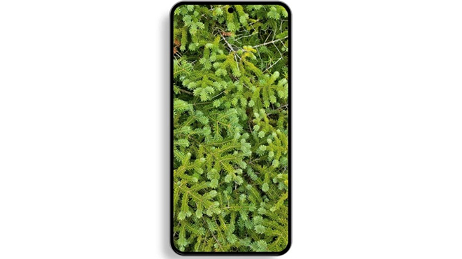 Cận cảnh hình ảnh mới nhất của Galaxy S22 - 3