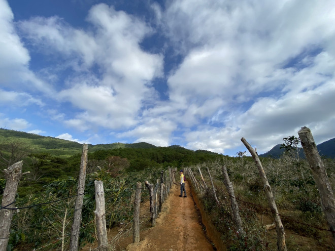 Leo núi Langbiang theo con đường mòn hoang sơ - 6