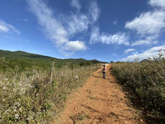 Leo núi Langbiang theo con đường mòn hoang sơ - 7