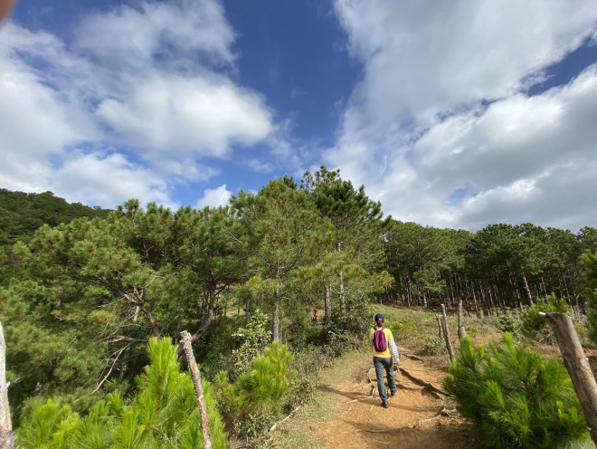 Leo núi Langbiang theo con đường mòn hoang sơ - 9