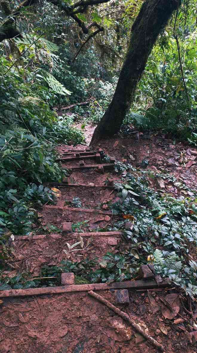 Leo núi Langbiang theo con đường mòn hoang sơ - 12