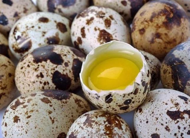 Trứng cút tốt không ngờ cho sức khỏe nhưng "đại kỵ" với những người sau - 2