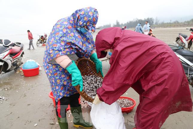 Người dân Hà Tĩnh đổ xô ra bờ biển vợt "lộc trời" ngày cuối năm - 7