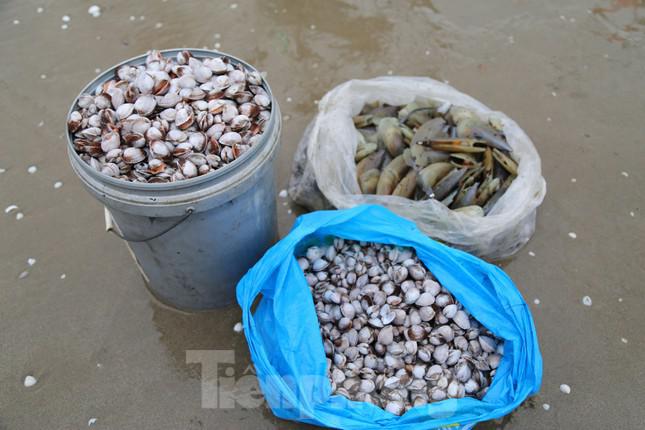 Người dân Hà Tĩnh đổ xô ra bờ biển vợt "lộc trời" ngày cuối năm - 6