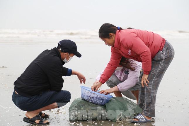 Người dân Hà Tĩnh đổ xô ra bờ biển vợt "lộc trời" ngày cuối năm - 9