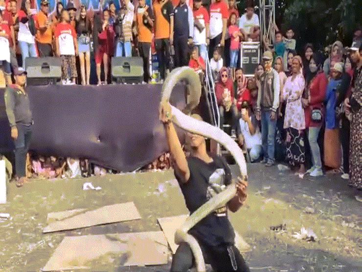Video: Bắt rắn hổ mang bằng tay không, người đàn ông Indonesia nhận ”kết đắng”