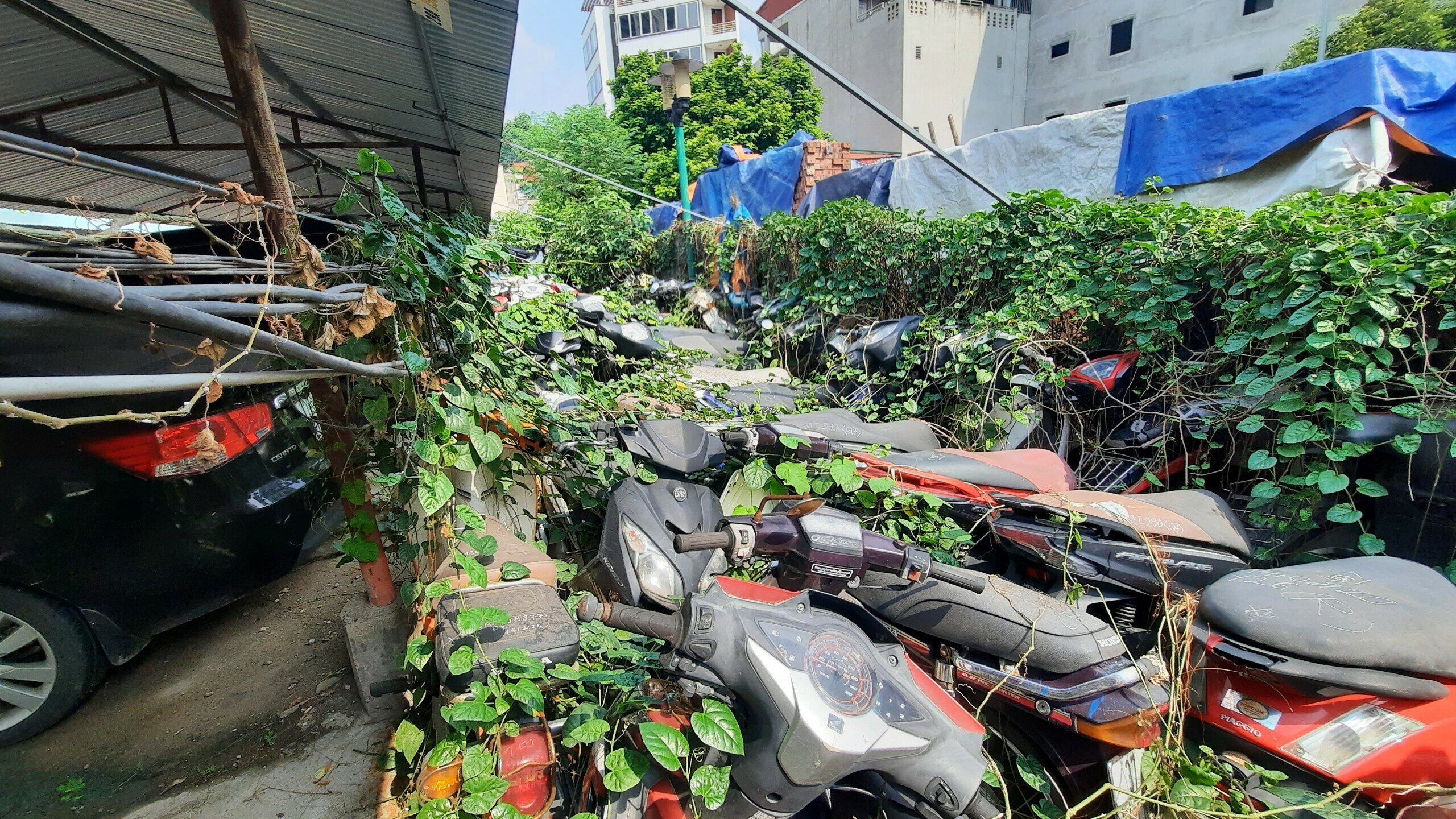 Hà Nội: Cận cảnh bãi giữ xe vi phạm giao thông quá tải, cỏ dại mọc đầy - 1