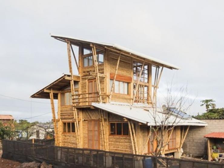 Không tốn xi măng, vợ chồng làm nhà 3 tầng bằng vật liệu có ở khắp các làng quê Việt