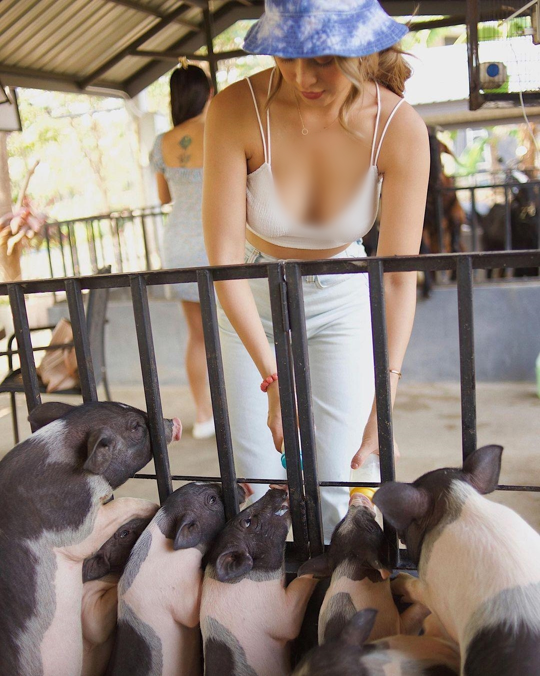 Hot girl Thái gây chú ý khi mặc đồ “thoáng“ đi chăn lợn, lượm trứng gà