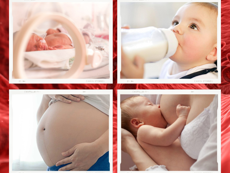 4 nhóm đối tượng cần bổ sung sắt ngay nếu không muốn bị thiếu máu thiếu sắt