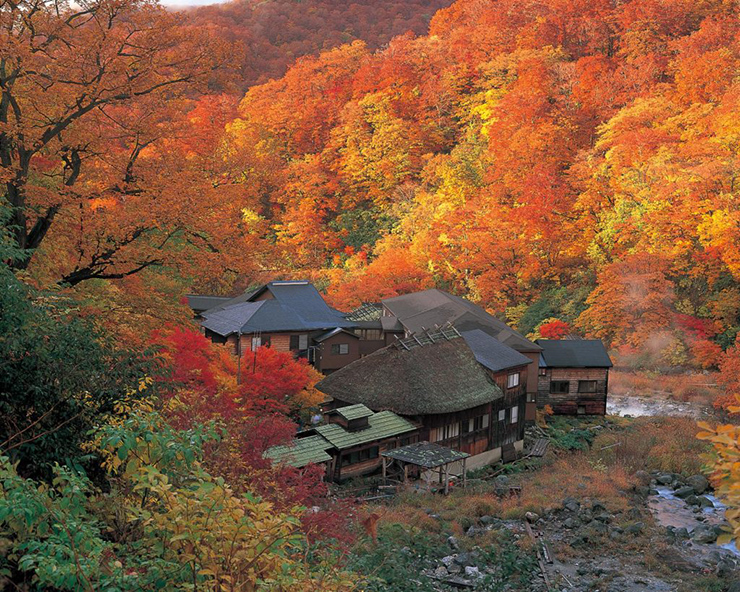 10 địa điểm ngắm lá đỏ đẹp nhất Nhật Bản, mùa thu này không thể bỏ lỡ - 3