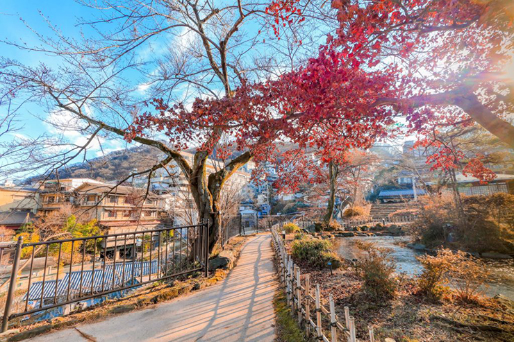 10 địa điểm ngắm lá đỏ đẹp nhất Nhật Bản, mùa thu này không thể bỏ lỡ - 5
