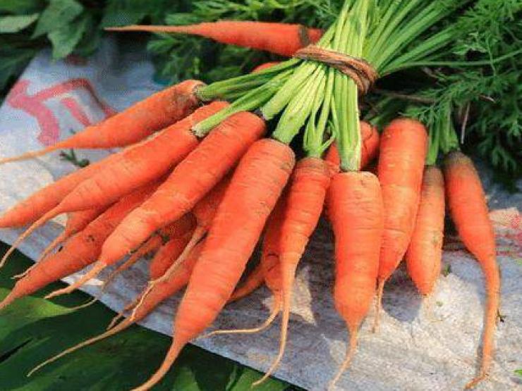 Một phụ nữ ở Trung Quốc ăn cà rốt mỗi ngày, sau 6 tháng lá gan đã xảy ra chuyện gì?