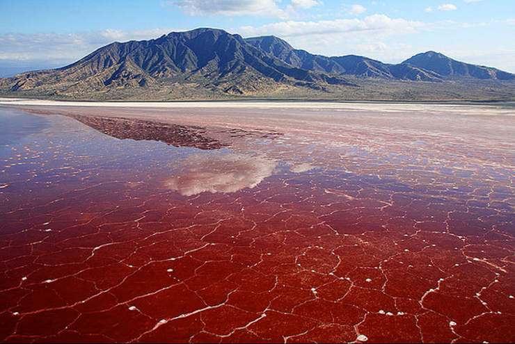 Hồ nước có màu đỏ như máu, ẩn chứa nhiều bí ẩn về sự chết chóc