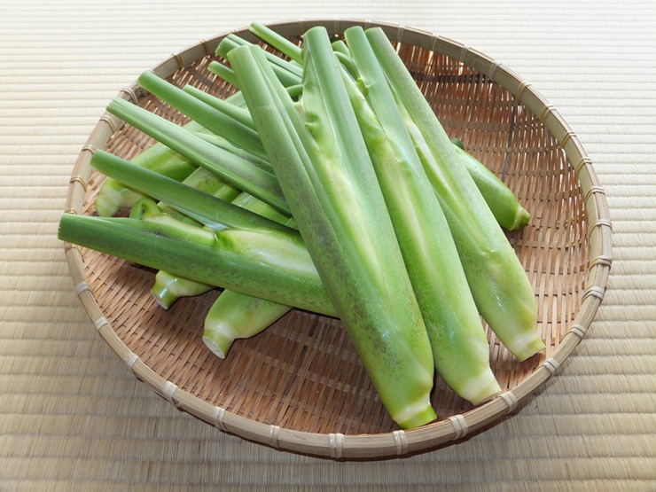 Loại tre này chỉ mọc dưới nước, được người Nhật gọi là “cỏ thần” - 4