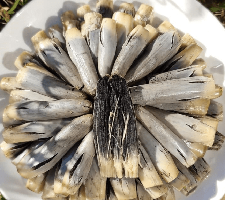 Trông đáng sợ và xấu xí nhưng loại bắp này lại là món ngon nổi tiếng, được săn đón với giá cao - 4