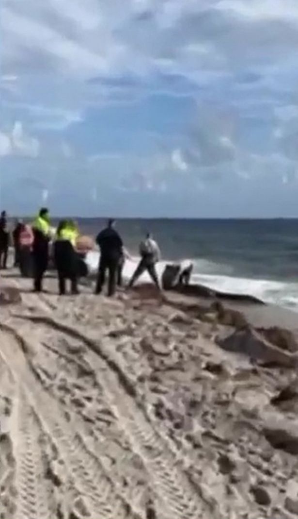 Video: Người đi bộ trên bãi biển sửng sốt phát hiện cá sấu nước ngọt dài gần 4 mét - 1