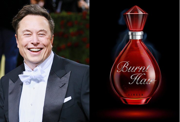 Elon Musk khoe bán được gần 50 tỉ đồng tiền nước hoa chỉ trong 1 ngày - 1