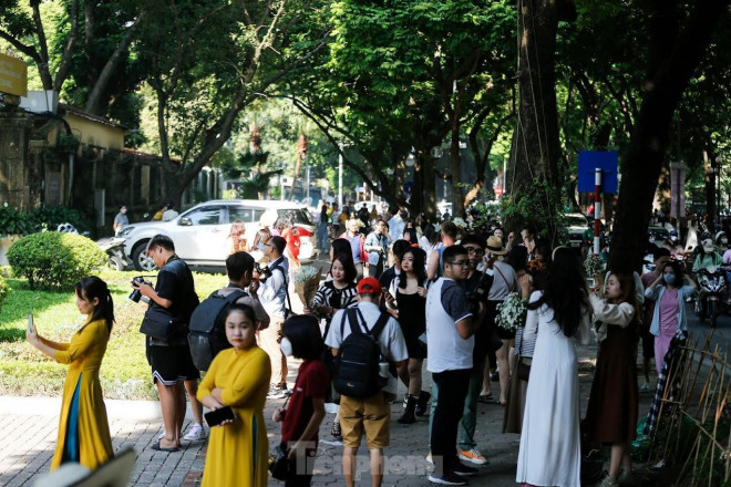 Mùa thu nắng vàng đẹp nao lòng, giới trẻ rộn ràng chụp ảnh trên con đường Hà Nội lãng mạn - 3