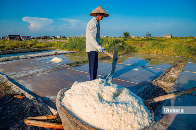 Vựa muối lớn nhất miền Bắc tất bật vào mùa thu hoạch - 12