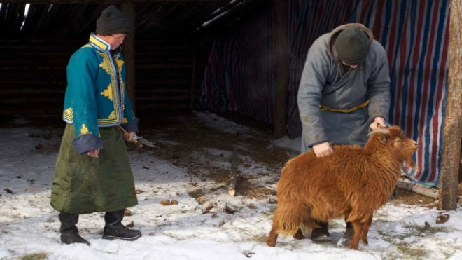 Sự thật rợn người sau món dê nướng ngon nức tiếng của người Mông Cổ - 3