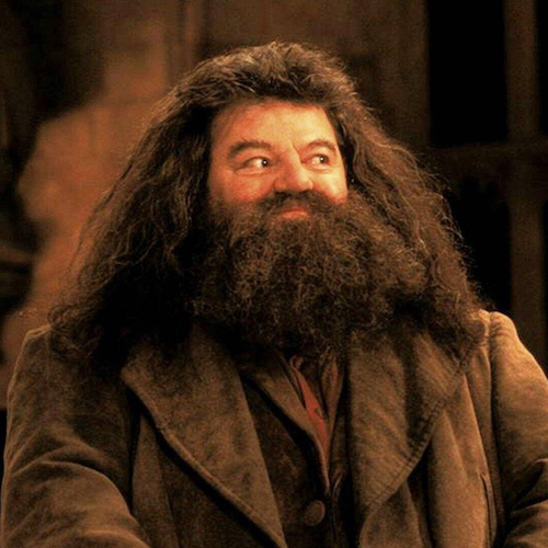 "Bác Hagrid" của Harry Potter qua đời ở tuổi 72, từng phải chiến đấu với căn bệnh nhiều người gặp phải - 1