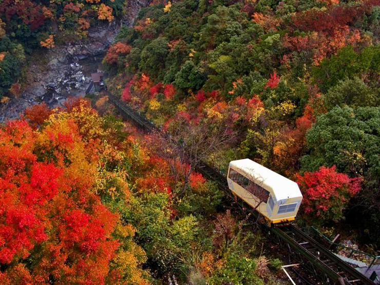 10 địa điểm ngắm lá đỏ đẹp nhất Nhật Bản, mùa thu này không thể bỏ lỡ