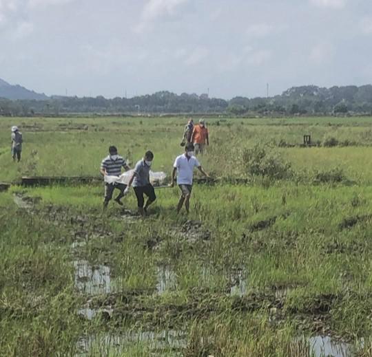 Nóng 24h qua: Phát hiện thi thể không quần áo giữa cánh đồng - 1