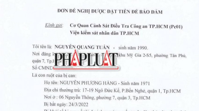Con trai bà Nguyễn Phương Hằng xin nộp 10 tỉ đồng bảo đảm cho mẹ tại ngoại - 1