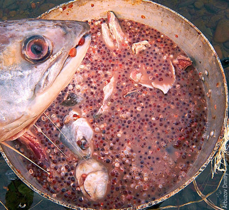 8 món đặc sản kinh dị nhất nước Nga, du khách rùng mình, bịt mũi sợ bị ngộ độc - 6