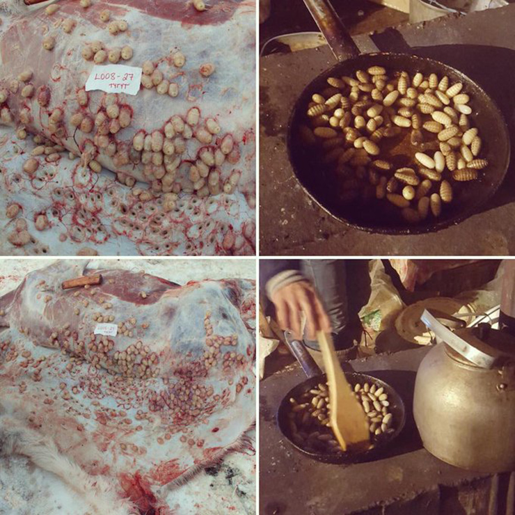 8 món đặc sản kinh dị nhất nước Nga, du khách rùng mình, bịt mũi sợ bị ngộ độc - 7