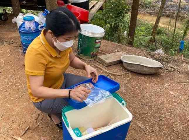 Bảy người nhập viện cấp cứu do uống nước được nấu từ cây lá ngón - 1