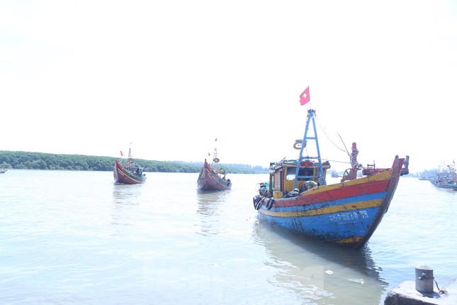 Ngư dân Nghệ An bội thu ''lộc biển'' mỗi chuyến đi lộng