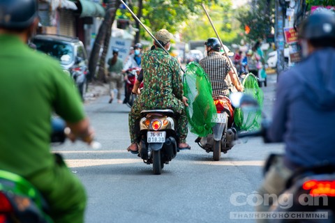 Đội bắt chó thả rông đi tuần, chủ ôm thú cưng bỏ chạy tán loạn