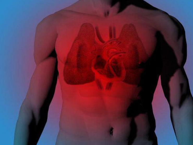 Một người đàn ông 53 tuổi chết vì đau tim đột ngột, bác sĩ nhắc nhở: Mọi người nên tránh xa 5 điều này