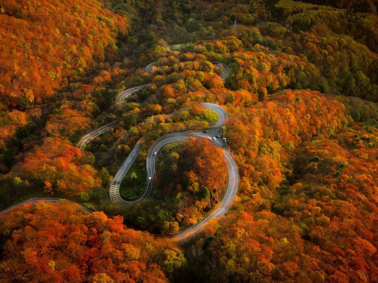 Con đường ngoằn ngoèo nhất Nhật Bản đỏ rực vào mùa thu
