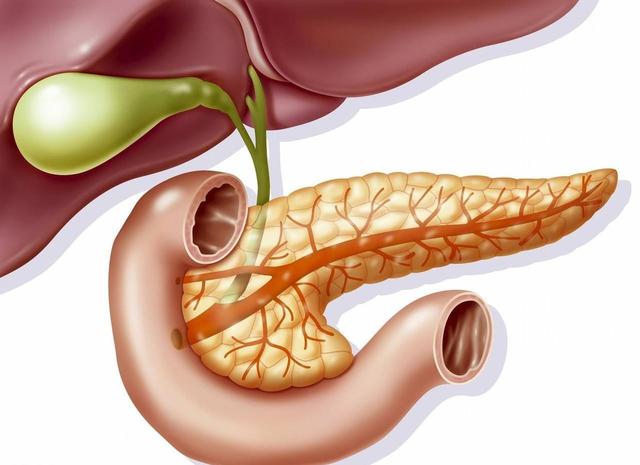 Chú ý 5 triệu chứng này xuất hiện sau khi uống rượu, có thể liên quan đến viêm tụy