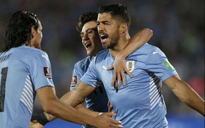 Soi kèo, dự đoán tỷ số Uruguay vs Hàn Quốc, bảng H World Cup 2022 - 1