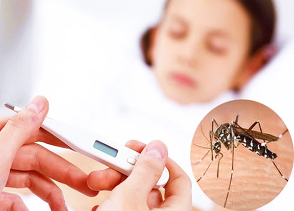 VPO Pharco ra mắt sản phẩm Đông Nam dược hỗ trợ giảm triệu chứng sốt xuất huyết