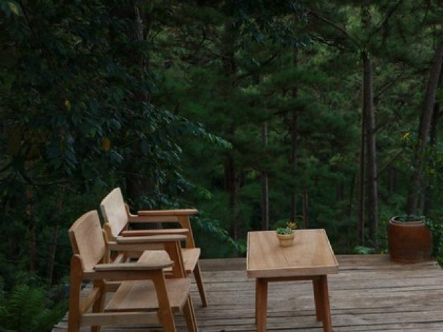 Khám phá những quán cà phê ẩn mình sâu trong các cánh rừng Đà Lạt: Rất xanh và bình yên