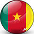 Trực tiếp bóng đá Cameroon - Serbia: Những phút cuối căng thẳng (Hết giờ) - 1