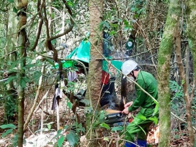 Công an kết luận về 2 bộ xương khô trong rừng Kbang, Gia Lai